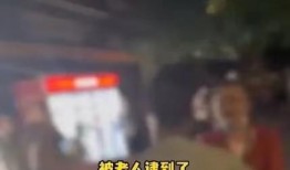 重庆小学爆料事件视频播放,重庆小学爆料事件视频引发社会关注