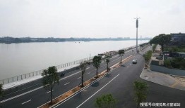 电话爆料视频模板图片,真实事件背后的惊人真相