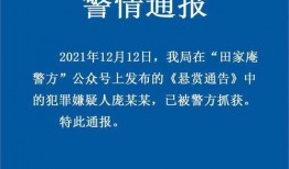 新闻爆料刑事案件罪名,涉嫌重大犯罪，嫌疑人被捕