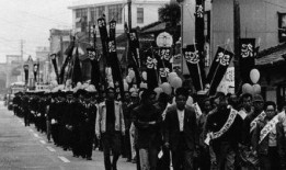 日本拾垃圾被爆料视频,城市清洁背后的辛酸与反思