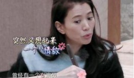 女演员爆料袁咏仪视频,女演员爆料背后的真相