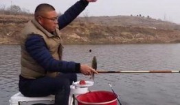 大杨哥被爆料钓鱼视频在线观看,揭秘网络红人幕后生活