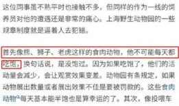高清大区爆料视频,独家爆料视频深度解析