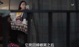 三姐姐爆料视频大全集,揭秘娱乐圈幕后真相