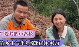 夫妻网红爆料视频大全,真实生活背后的故事