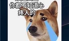 天威狮鹫爆料视频大全下载,揭秘神秘内容，带你领略精彩瞬间