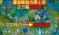 社长王者爆料视频大全集,视频大全集深度解析