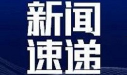 韩国年度爆料新闻视频,揭秘年度十大热点事件