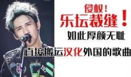 怎么爆料偷盗视频的人呢,追踪正义的线索