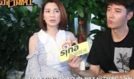 张丹峰爆料出轨视频播放,真相与舆论的漩涡