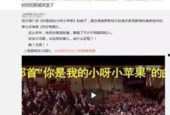 网红抄袭爆料案例视频,视频案例分析背后的真相