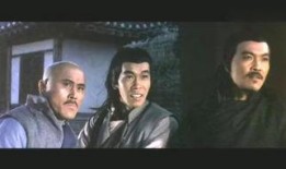 蛇鹤八步在线观看,在线观看，领略中华武术绝学风采