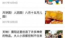 濮阳事件爆料视频,揭秘背后真相，视频爆料引发社会关注