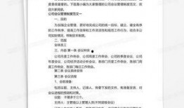 策划最新爆料案例范文怎么写,揭秘幕后故事与策略解析