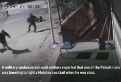 山猫无名被爆料视频,揭秘神秘人物真实身份