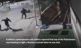 山猫无名被爆料视频,揭秘神秘人物真实身份