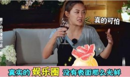 内地娱乐圈内幕爆料,内幕爆料背后的真相与秘密