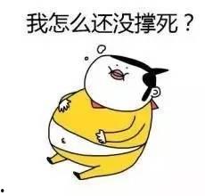 倔强式单身娱乐吃瓜酱