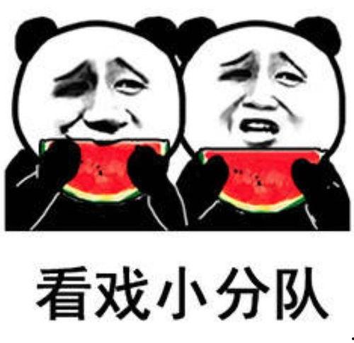娱乐吃瓜表情图片可爱